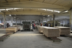 wooden doors interior