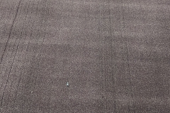 area rugs wholesaler in usa